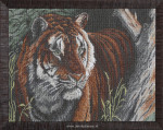 Borduren, Tiger, the hidden King, opspannen en inlijsten